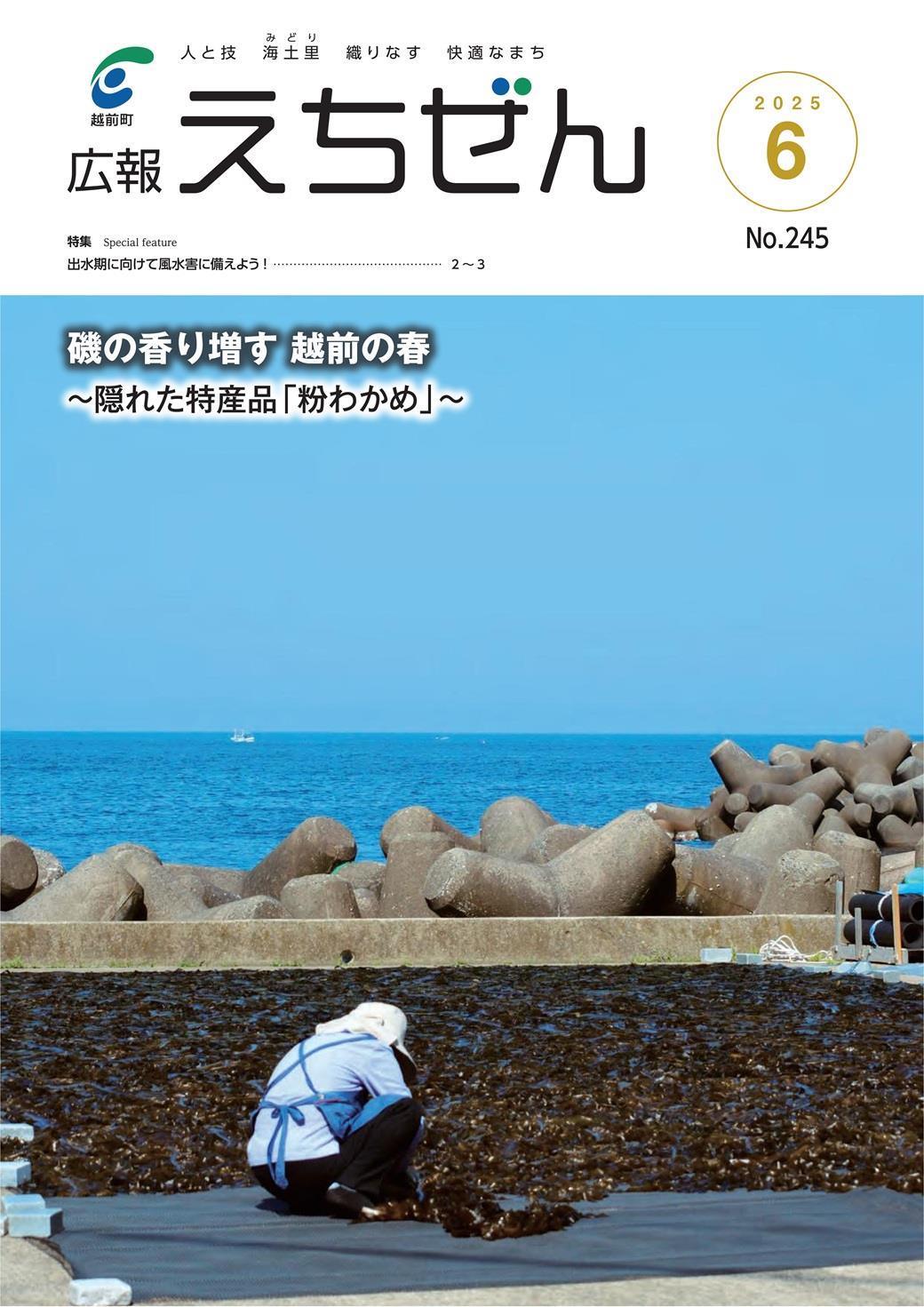 広報えちぜん158号の画像