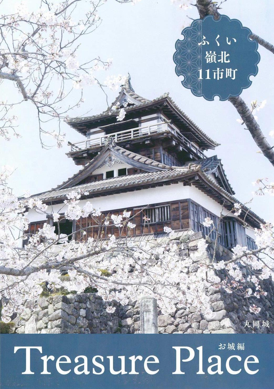 ふくい嶺北連携中枢都市圏ビジョン『城』