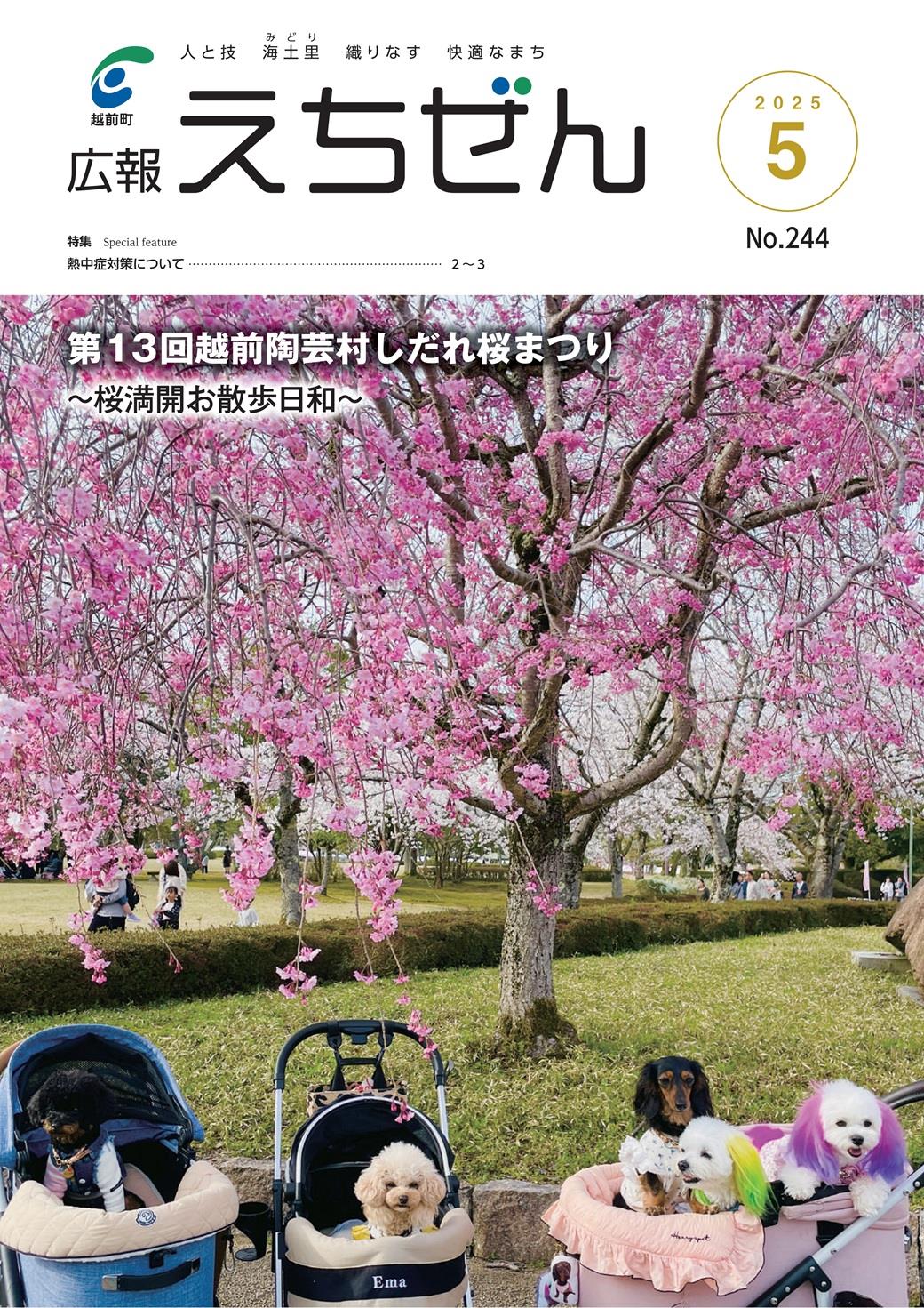 広報えちぜん158号の画像