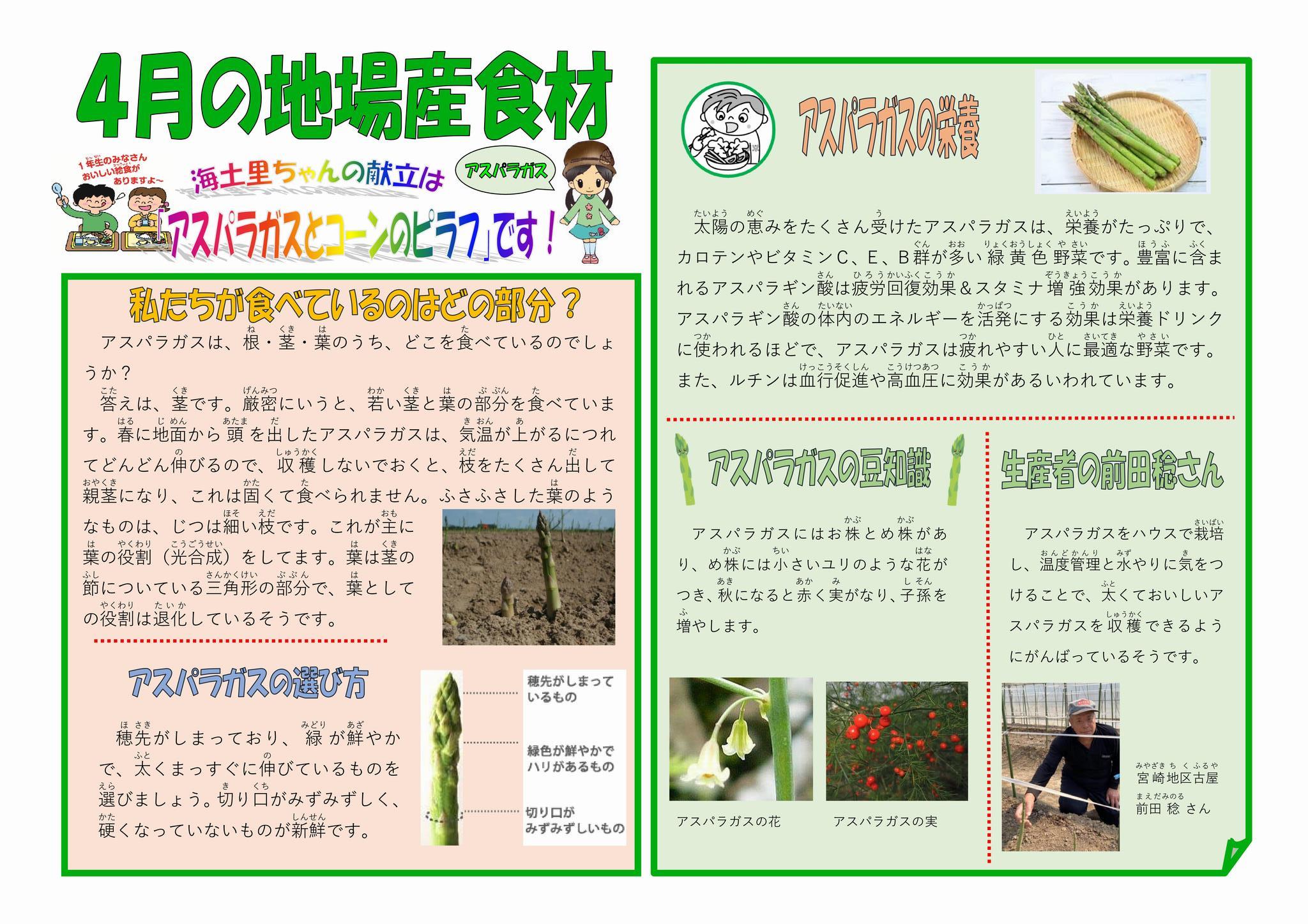 4月学校掲示用（アスパラガス）.jpg