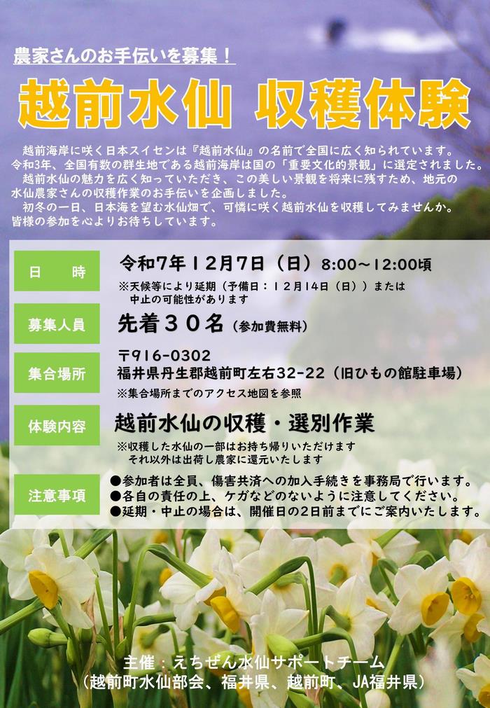 チラシ(表)