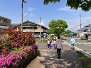 織小2