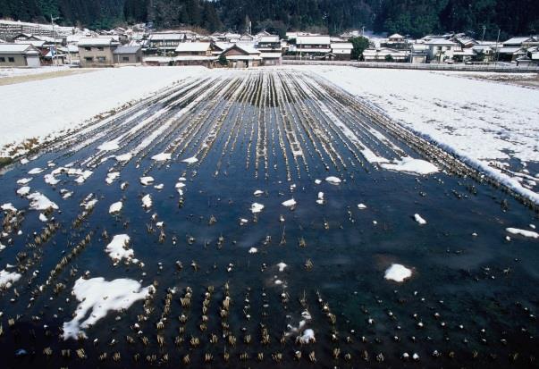 里の冬景色