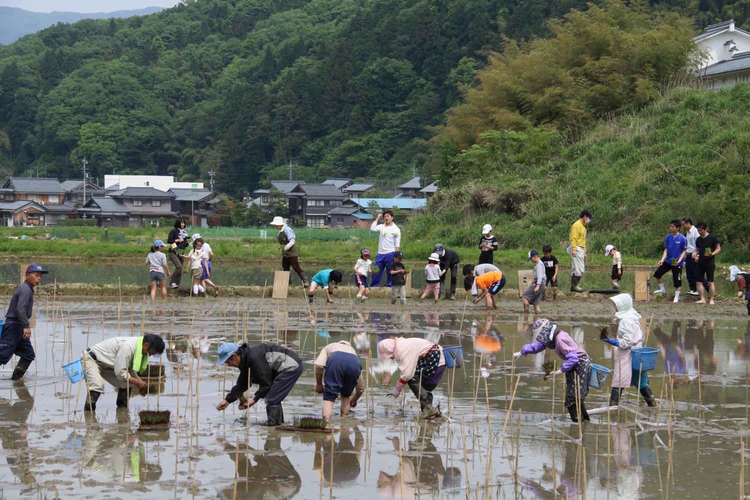どっちが主役